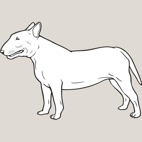 Bull Terrier2 Thumbnail