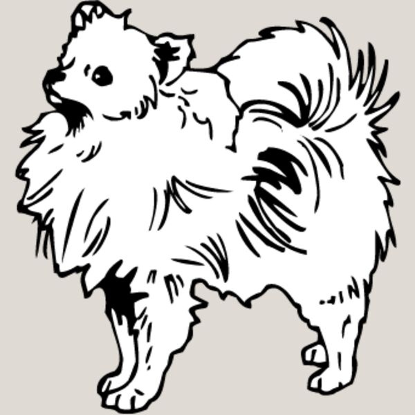 Pomeranian2 Thumbnail