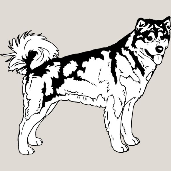 Malamute2 Thumbnail