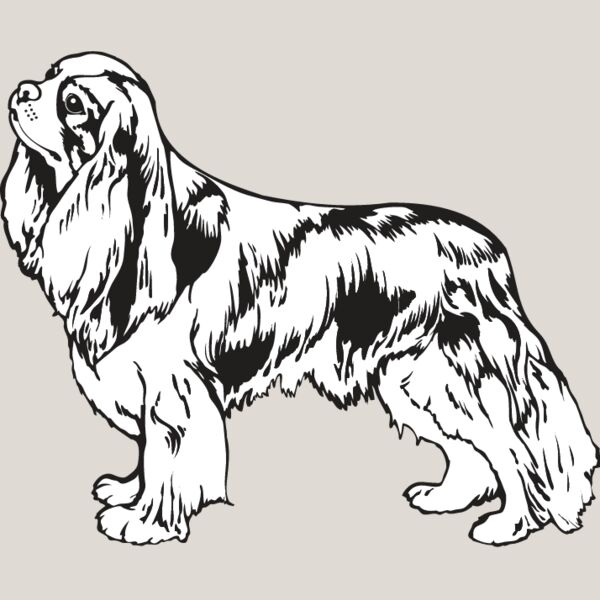 King Charles Spaniel2 Thumbnail