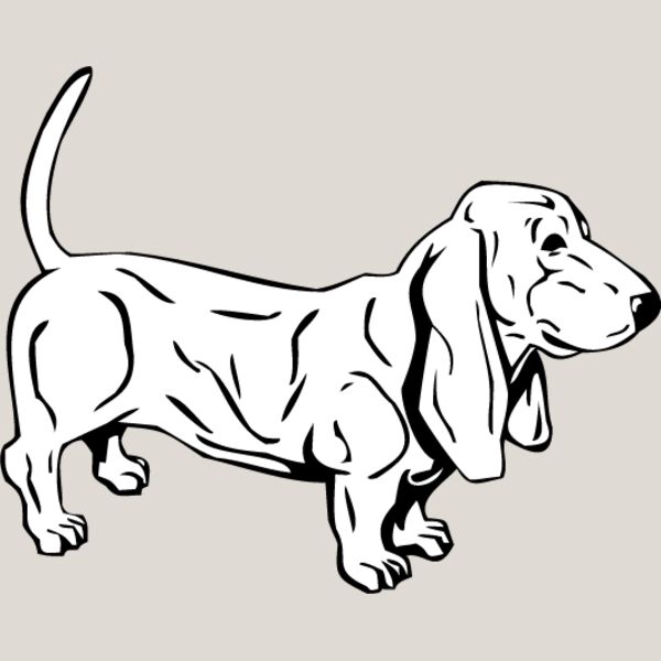 Dachshund5 Thumbnail