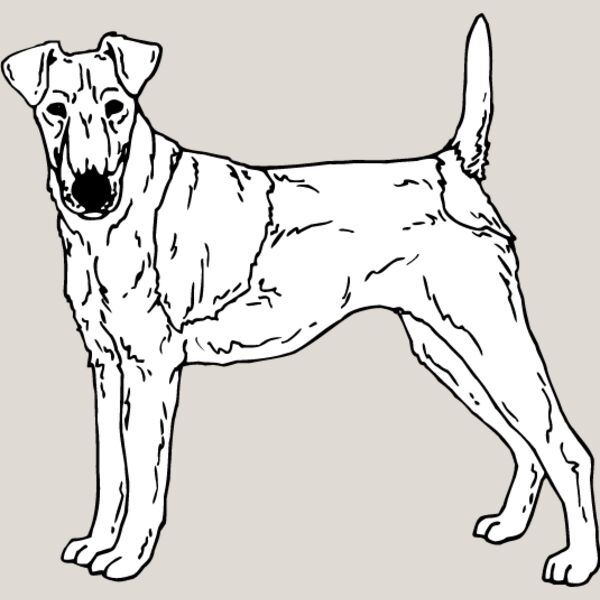 Fox Terrier Thumbnail