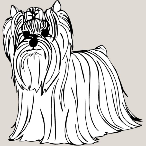 Yorkshire Terrier3 Thumbnail