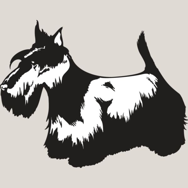 Scottish Terrier2 Thumbnail