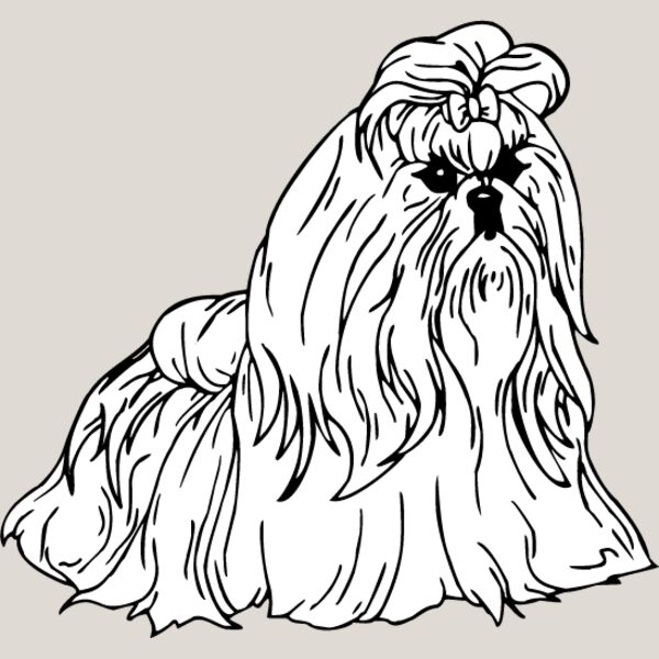 Shih Tzu2 Thumbnail