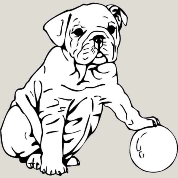 Bulldog Puppy Thumbnail