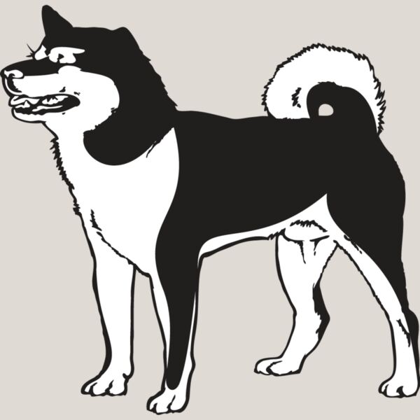 Shiba Inu2 Thumbnail