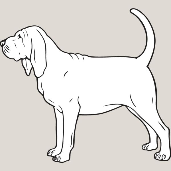 Bloodhound2 Thumbnail