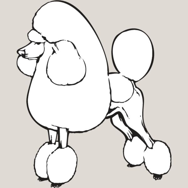 Poodle1 Thumbnail