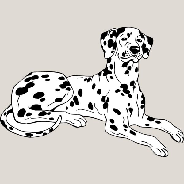 Dalmation2 Thumbnail