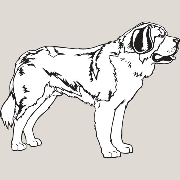 St  Bernard Thumbnail