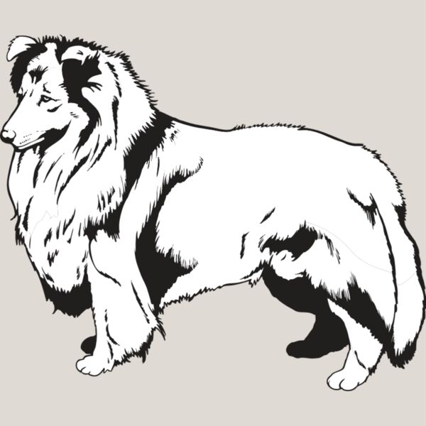 Shetland Sheepdog2 Thumbnail