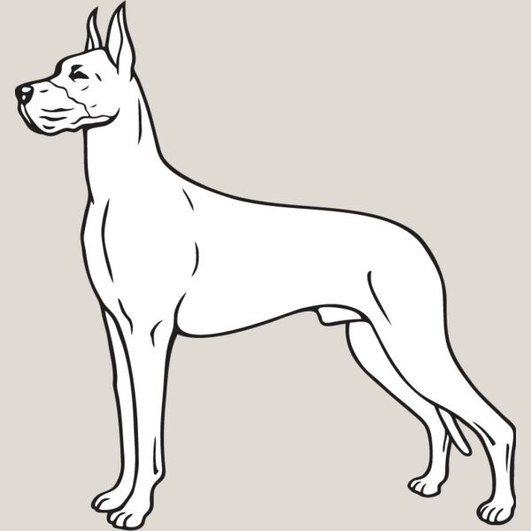 Great Dane2 Thumbnail