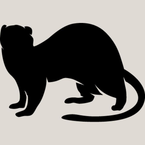 Ferret1 Thumbnail