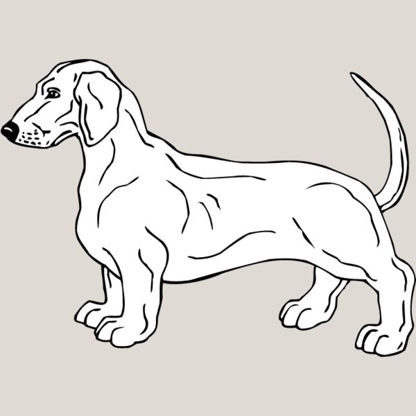 Dachshund1 Thumbnail