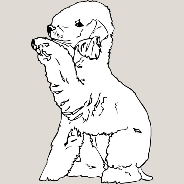 Bedlington Terrier Thumbnail