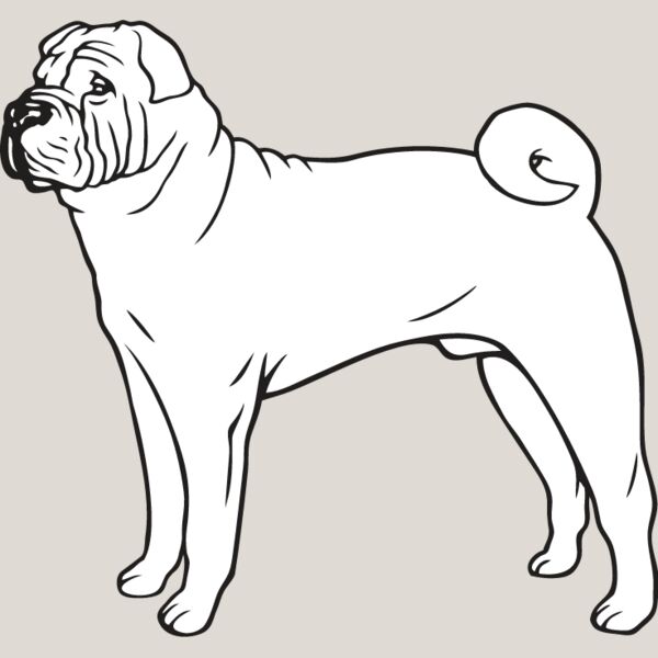 Shar Pei3 Thumbnail