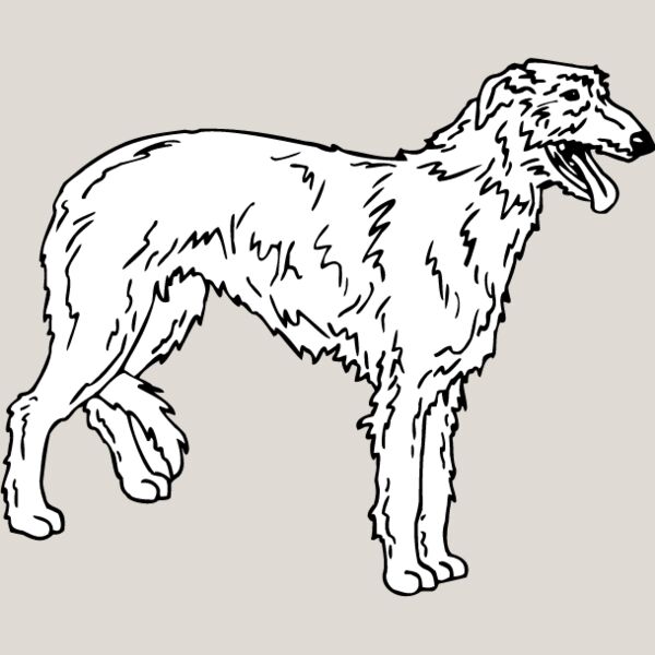 Scottish Deer Hound Thumbnail