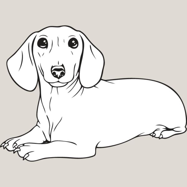 Dachshund3 Thumbnail