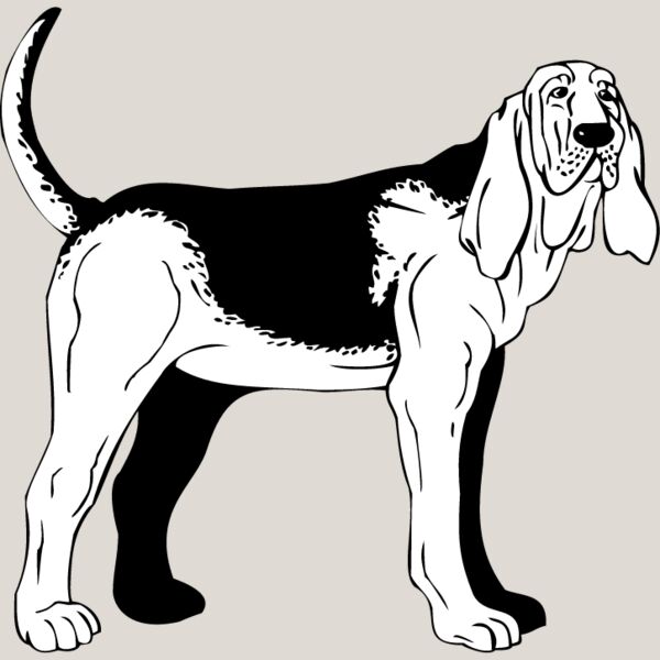 Bloodhound1 Thumbnail