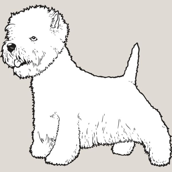 Highland Terrier2 Thumbnail