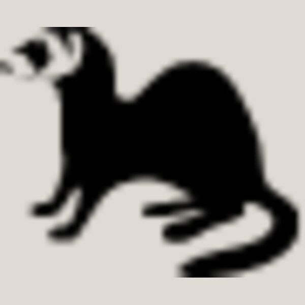Ferret4 Thumbnail