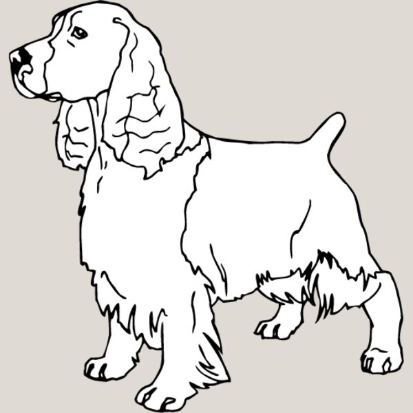 Cocker Spaniel3 Thumbnail
