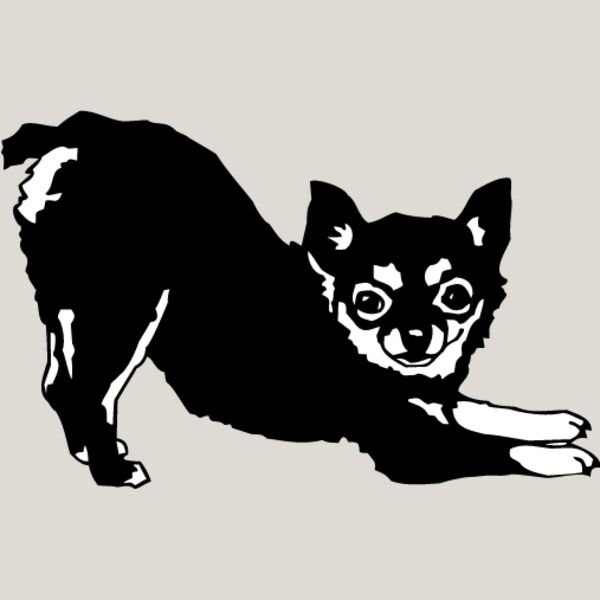 Chihuahua3 Thumbnail
