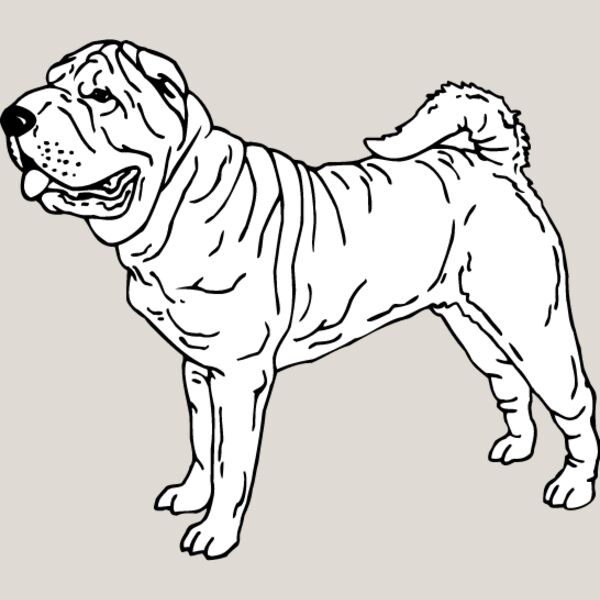 Shar Pei1 Thumbnail