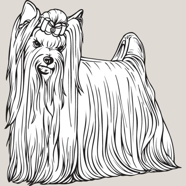 Yorkshire Terrier2 Thumbnail