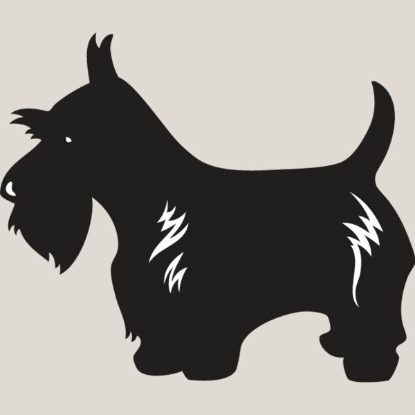 Scottish Terrier3 Thumbnail
