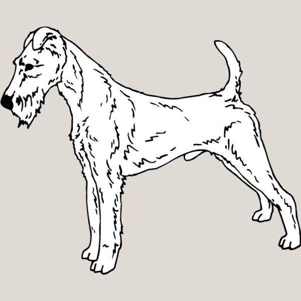 Irish Terrier Thumbnail