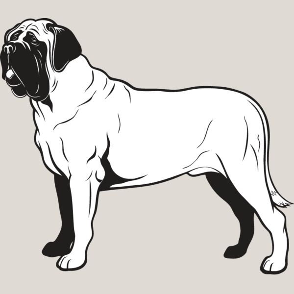 Bull Mastiff2 Thumbnail