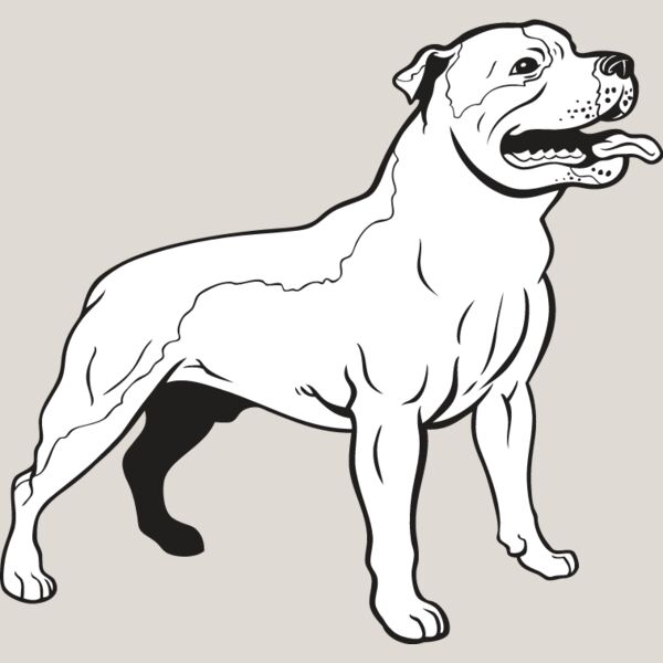 Staffordshire Bull Terrier1 Thumbnail