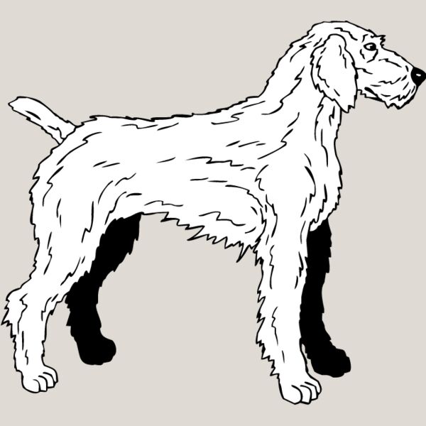 Wirehaired Pointer2 Thumbnail