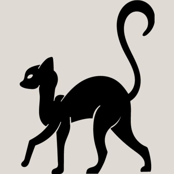 Elegant Cat6 Thumbnail