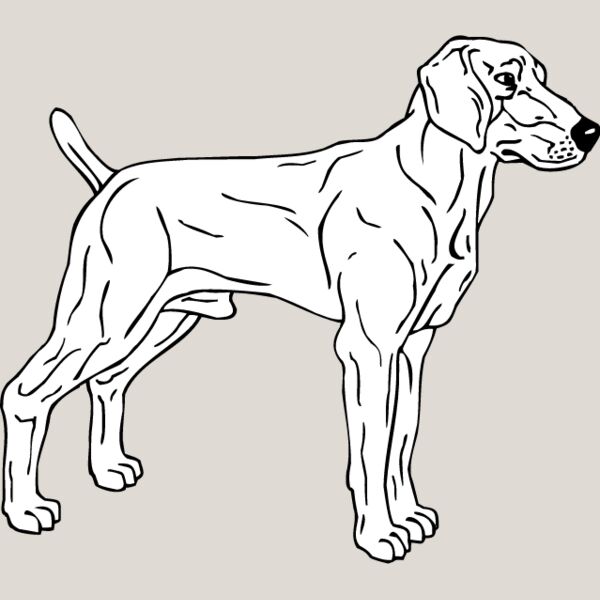 Weimariner3 Thumbnail