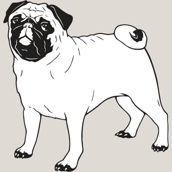 Pug1 Thumbnail