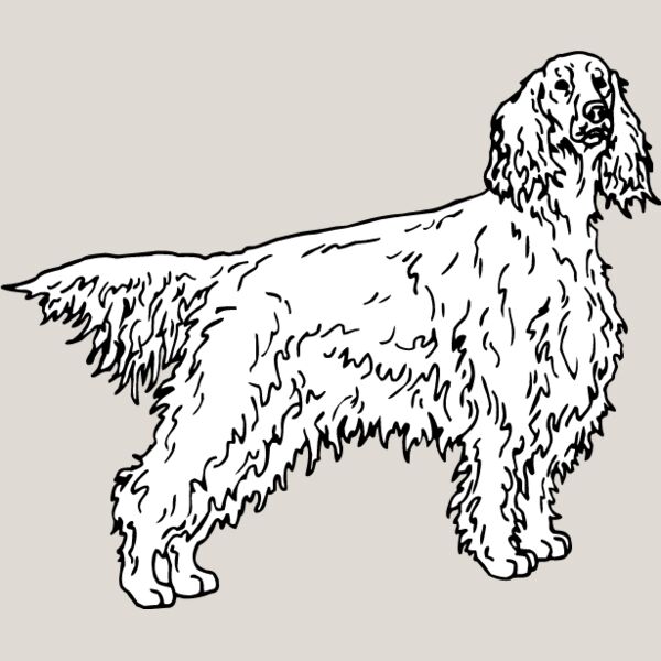 Irish Setter1 Thumbnail