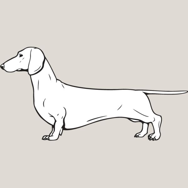 Dachshund2 Thumbnail