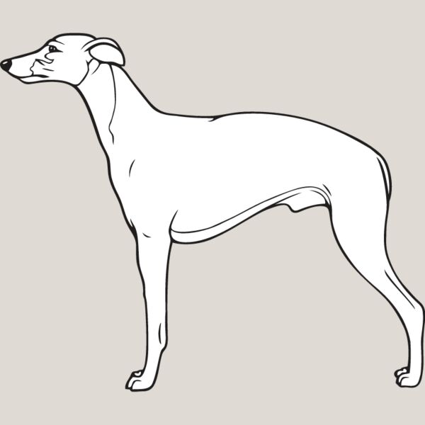 Whippet4 Thumbnail