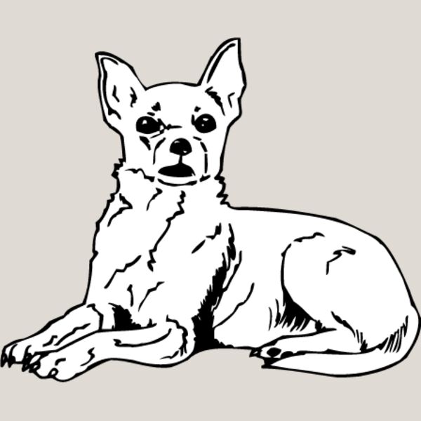 Chihuahua1 Thumbnail