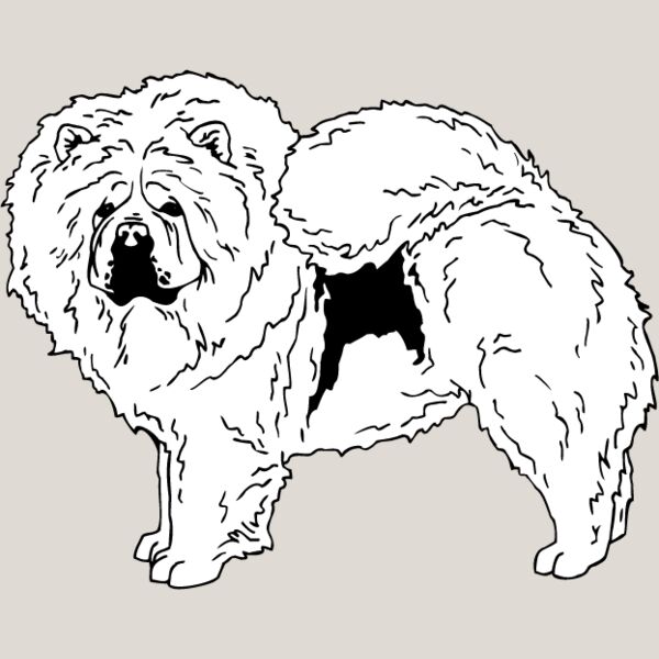 Chow Chow1 Thumbnail