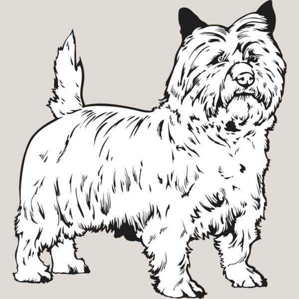 Cairn Terrier Thumbnail