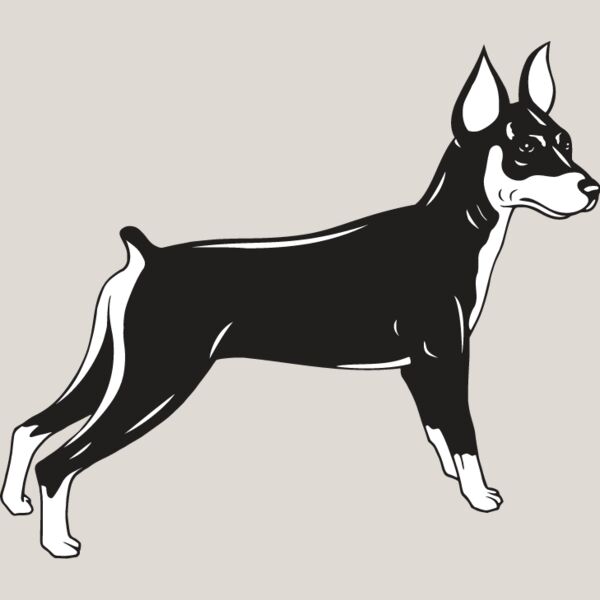 Miniature Pinscher Thumbnail