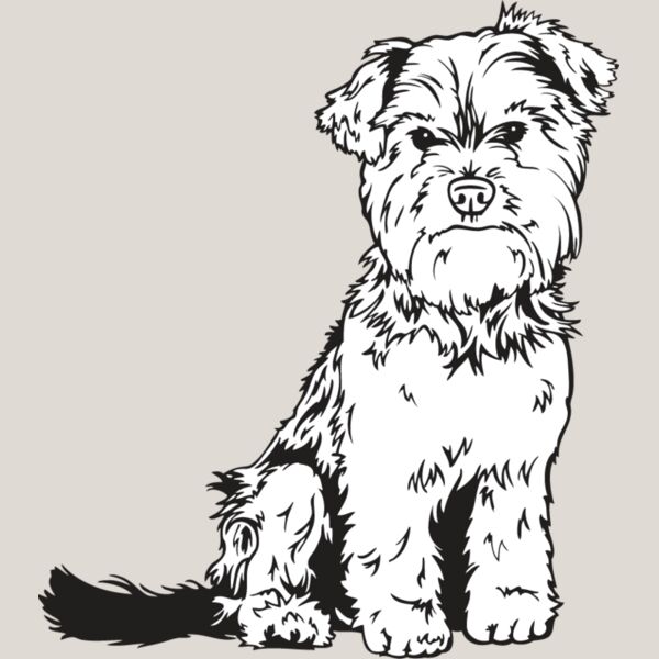 Yorkshire Terrier1 Thumbnail