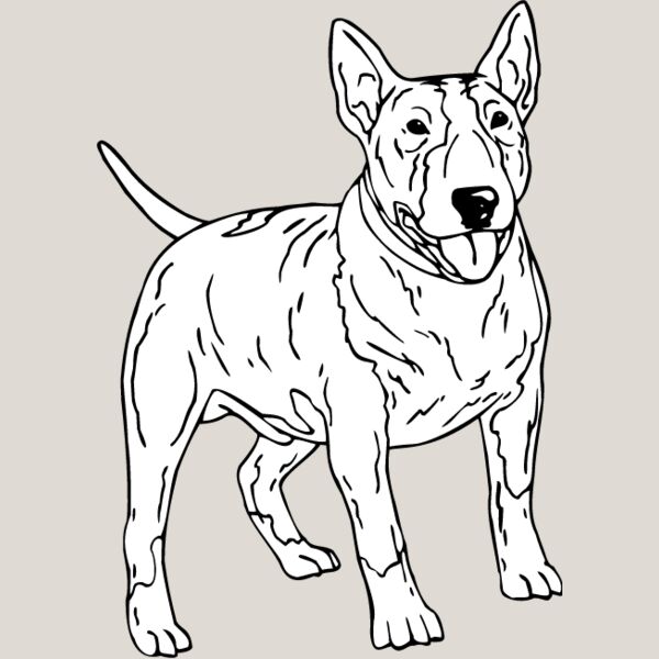Bull Terrier1 Thumbnail