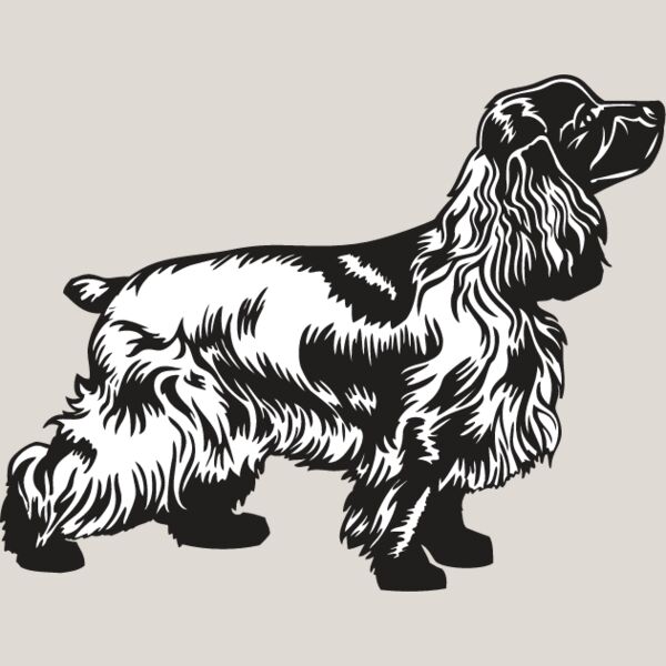Cocker Spaniel2 Thumbnail