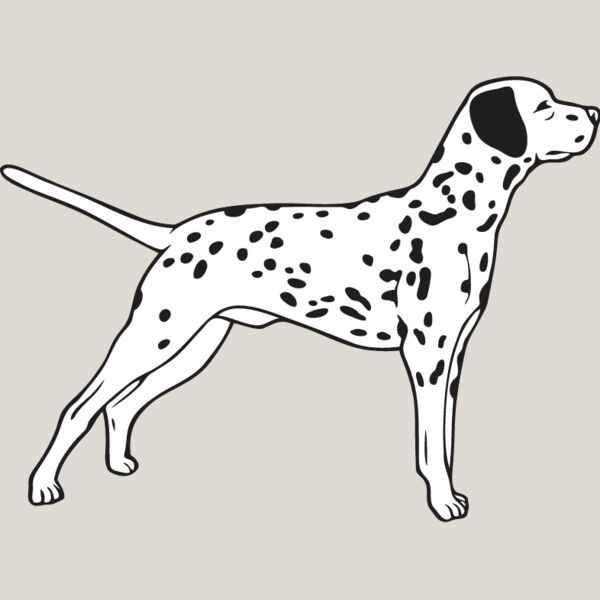 Dalmation3 Thumbnail