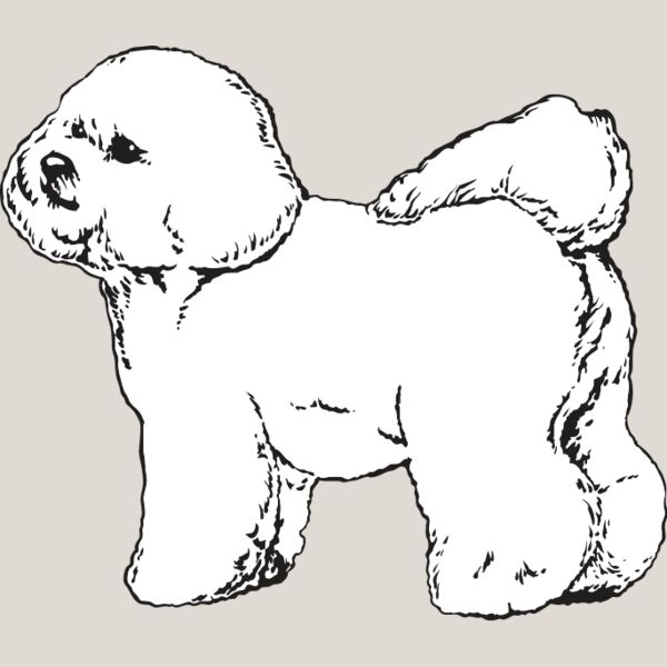 Bichon Frise2 Thumbnail